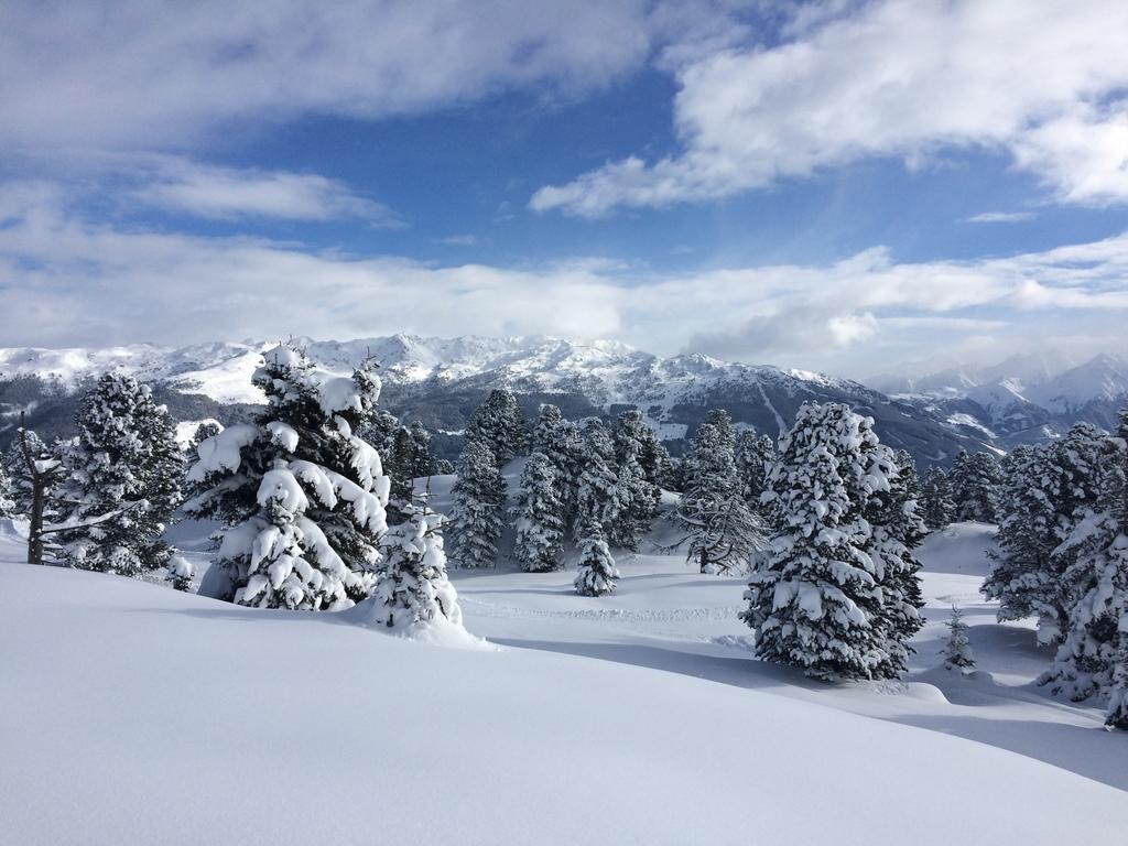 Martlerhof Apartment Aschau Im Zillertal ภายนอก รูปภาพ
