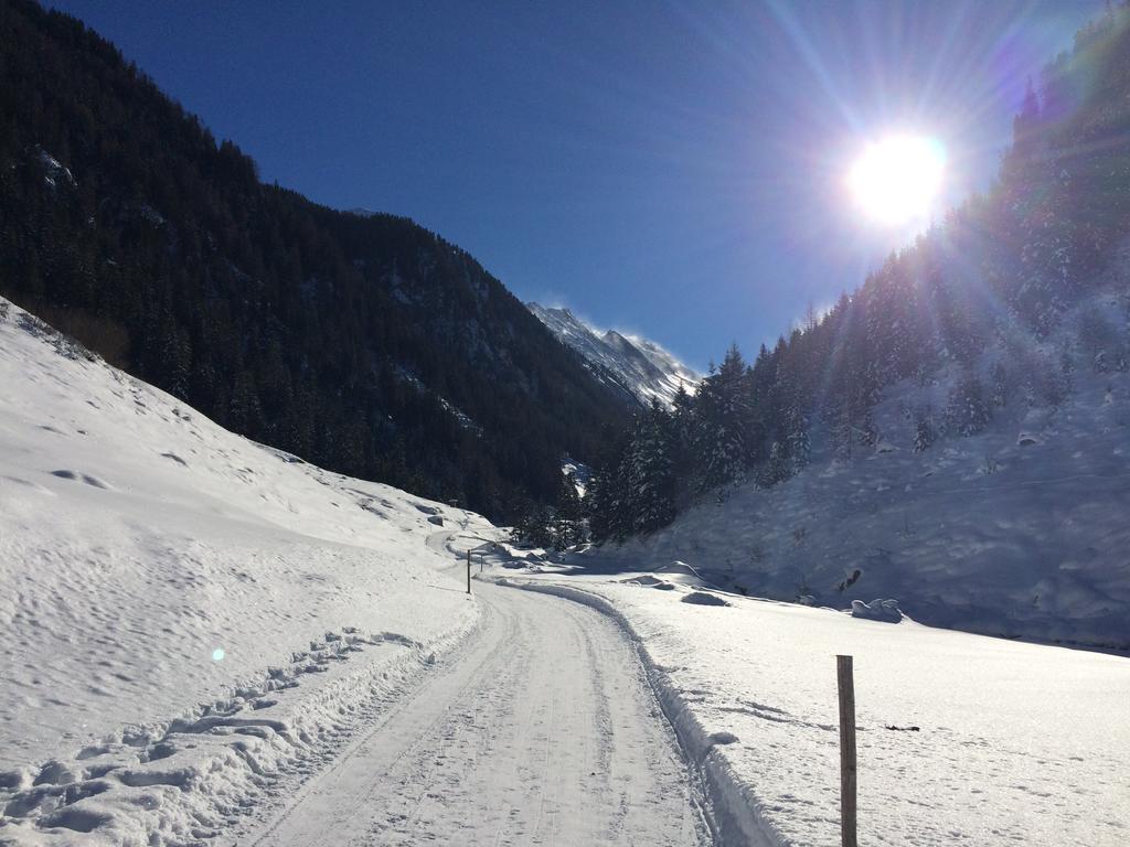 Martlerhof Apartment Aschau Im Zillertal ภายนอก รูปภาพ