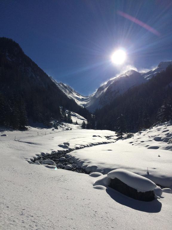 Martlerhof Apartment Aschau Im Zillertal ภายนอก รูปภาพ